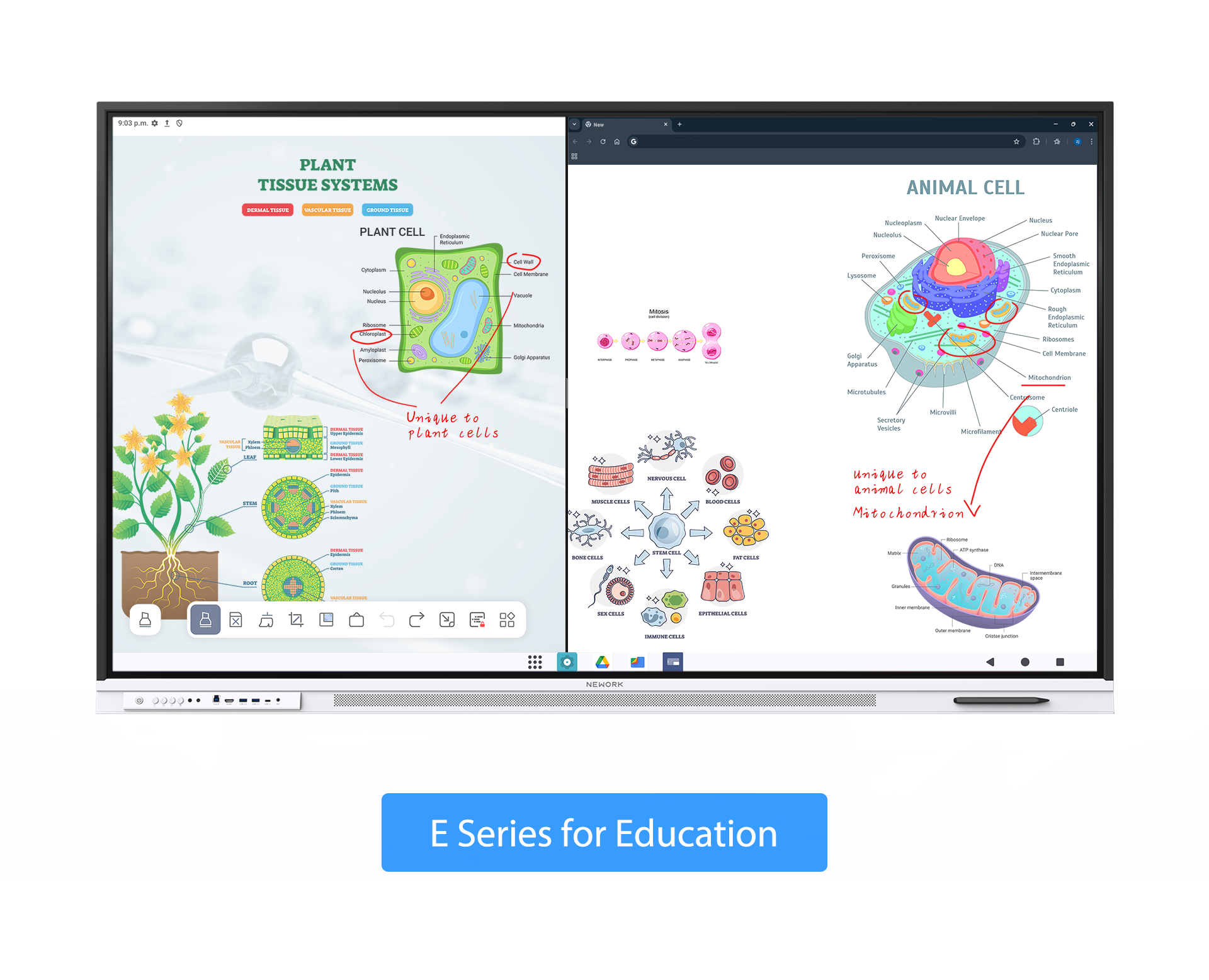 Nework_NewBoard_E_Series_smart_board_for_classroom_4K_interactive_display_for_education