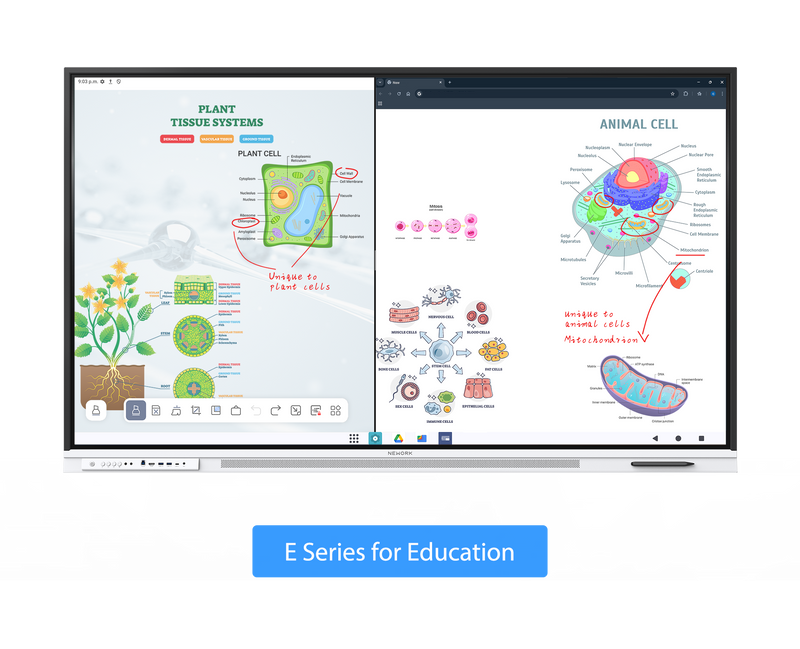 Nework NewBoard E Series – 4K Interactive Smart Boards for Classrooms ...